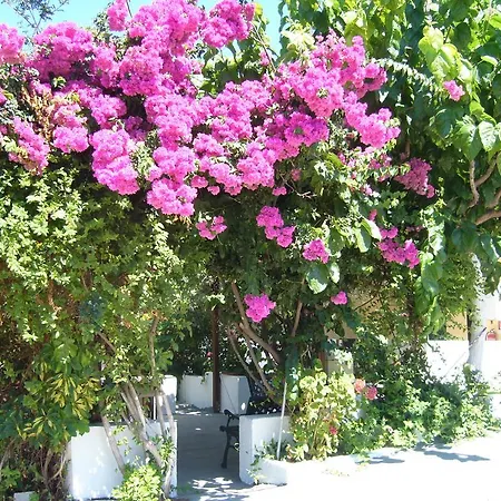 Eleftheria