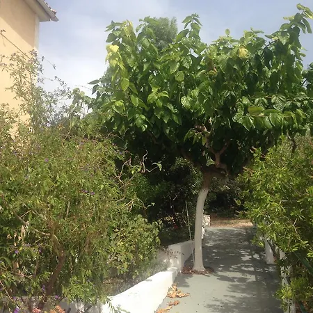 Eleftheria Apartment Trapezaki (Kefalonia)