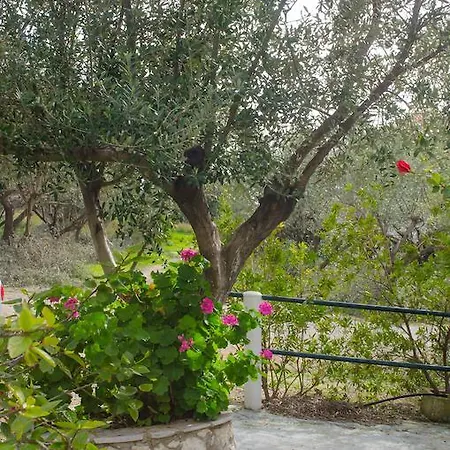 Apartment Eleftheria
